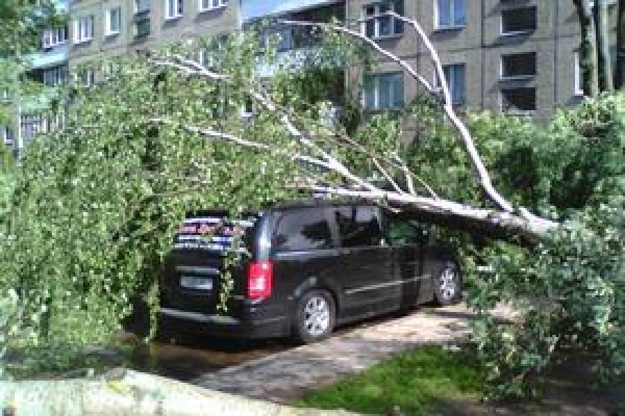 Как вести себя во время сильного ветра, урагана и грозы